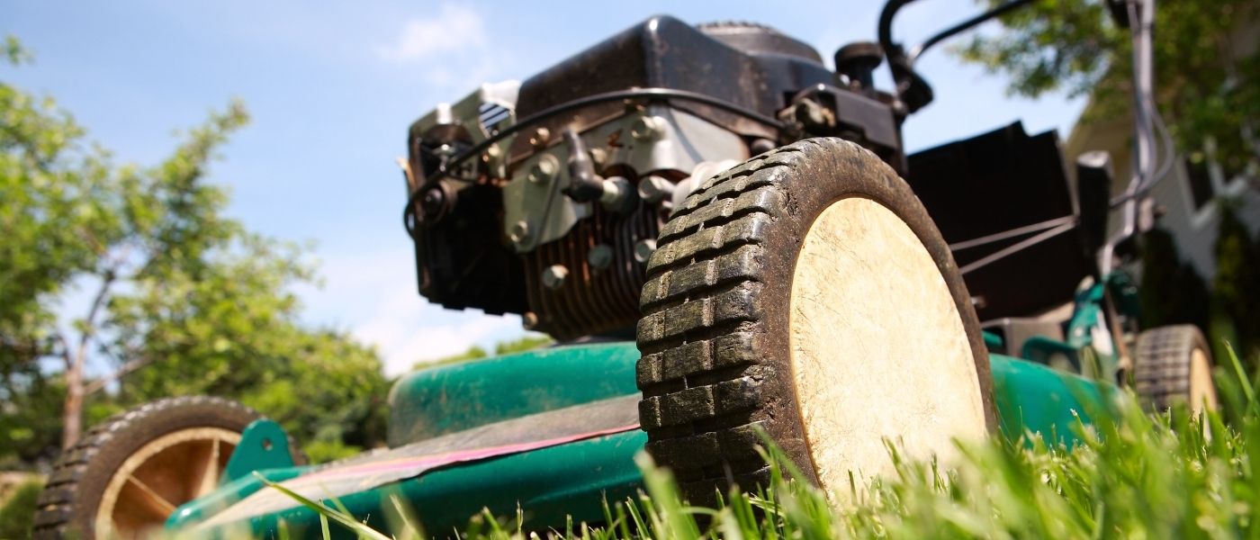 Should I Start a Lawn Care Business?